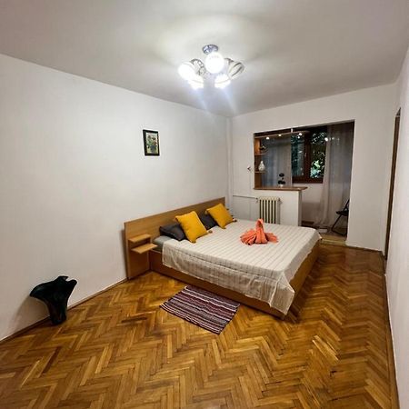 Miha Modern And Central Apartament Malul Muresului Arad Luaran gambar