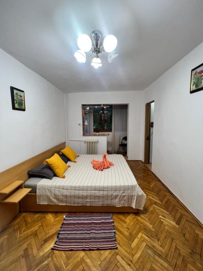 Miha Modern And Central Apartament Malul Muresului Arad Luaran gambar