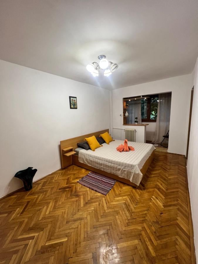 Miha Modern And Central Apartament Malul Muresului Arad Luaran gambar