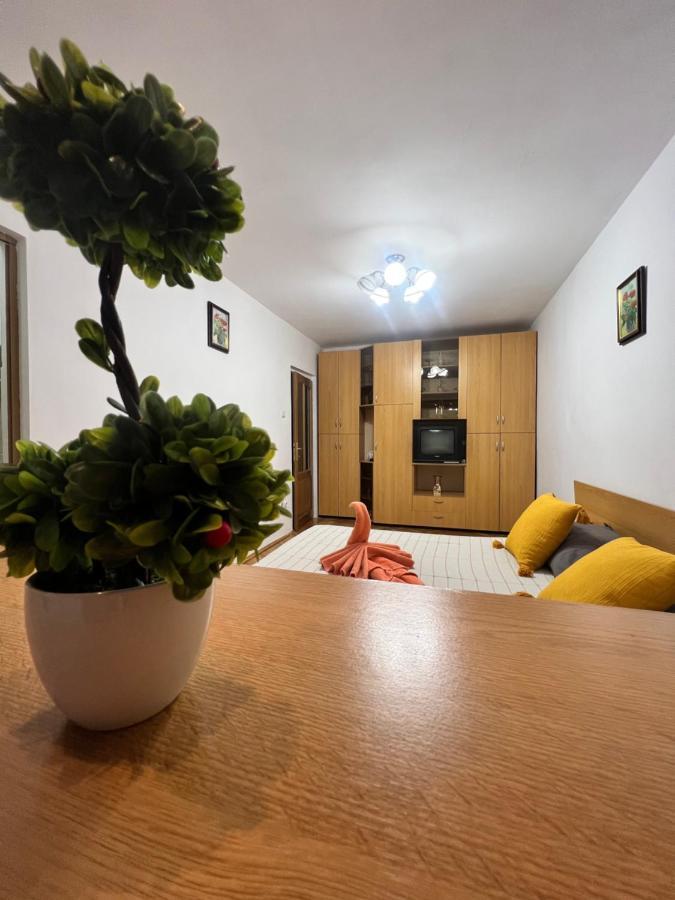 Miha Modern And Central Apartament Malul Muresului Arad Luaran gambar