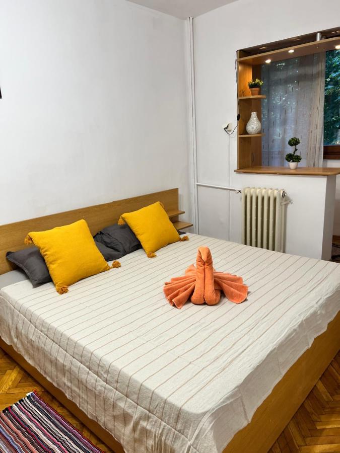 Miha Modern And Central Apartament Malul Muresului Arad Luaran gambar