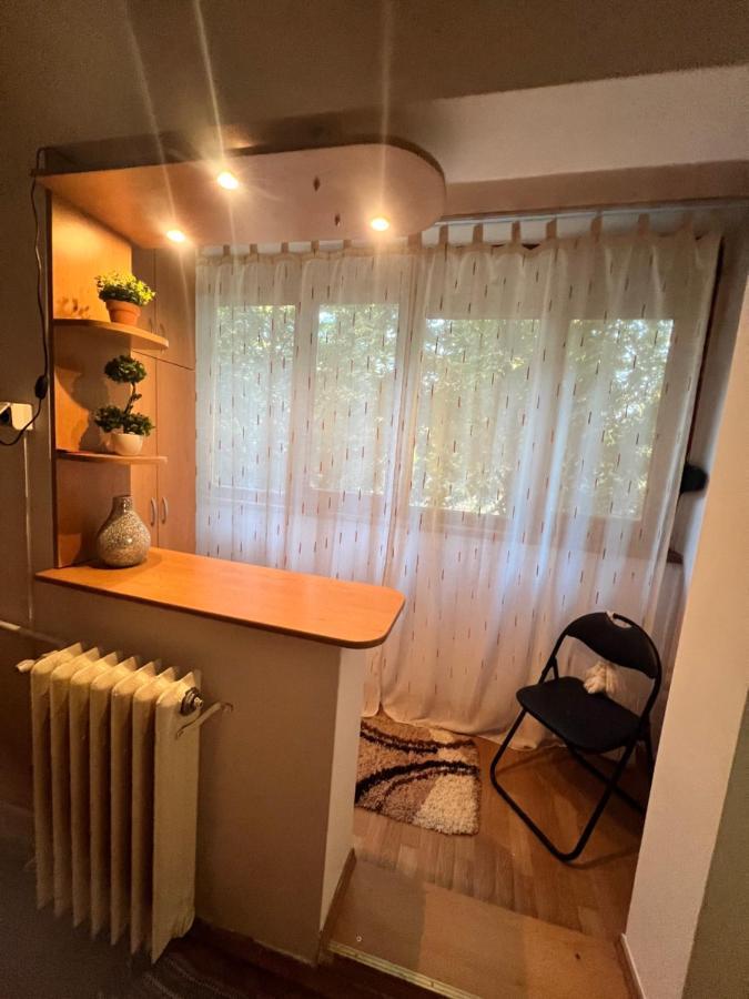 Miha Modern And Central Apartament Malul Muresului Arad Luaran gambar