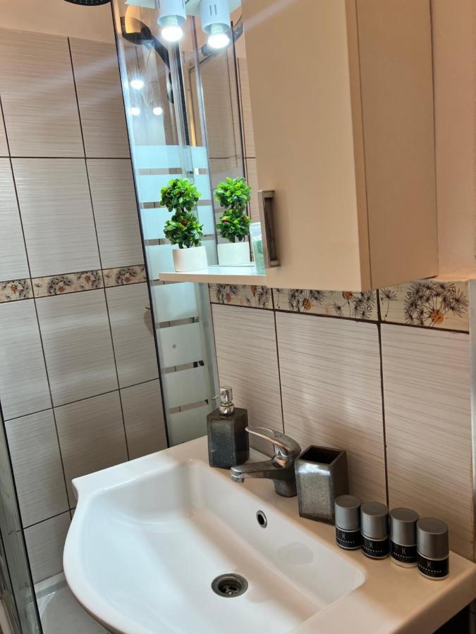 Miha Modern And Central Apartament Malul Muresului Arad Luaran gambar