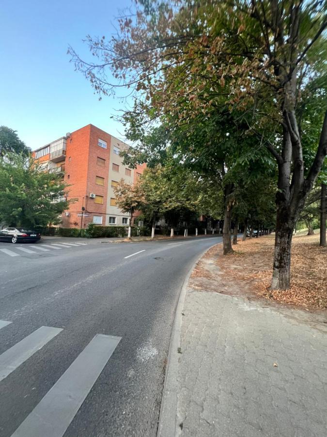 Miha Modern And Central Apartament Malul Muresului Arad Luaran gambar